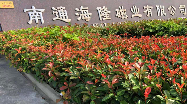 左